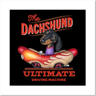 Dachshund Ultimate Driving Machine Posters and Art